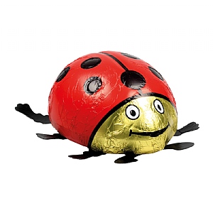 Bon Bons Milk Chocolate Ladybird (80g)