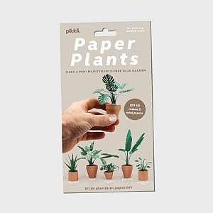 Pikkii Paper Plants