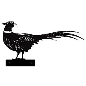 Metal Peeking Farmyard Silhouette - Pheasant