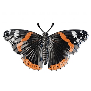 Medium Metal Realistic Butterfly Wall Art - Red Admiral
