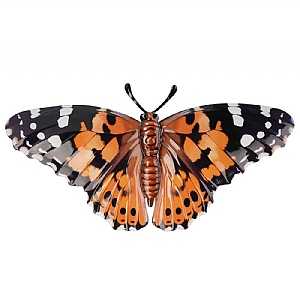 Medium Metal Realistic Butterfly Wall Art - Painted Lady