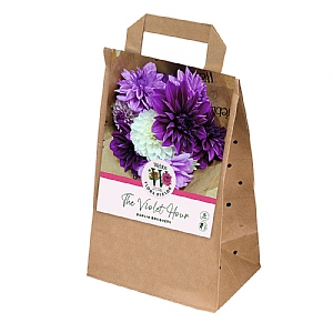 Webbs Flora Fields Dahlia 'The Violet Hour' (5 Tubers)