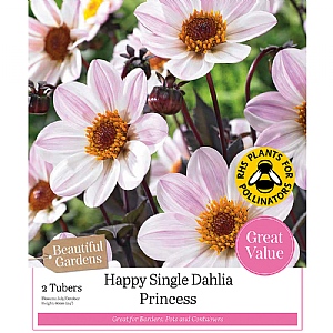 Beautiful Gardens Dahlia Happy Single 'Princess' (2 Tubers)