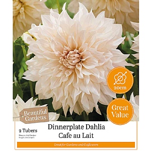 Beautiful Gardens Dahlia 'Cafe Au Lait' (2 Tubers)