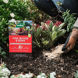 Westland Fish, Blood & Bone 1.5kg