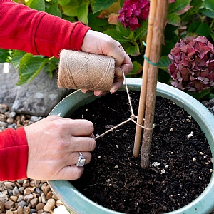 Greenkey Jute Twine (50m)