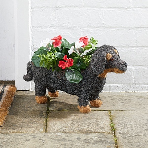 Smart Garden Sausage Dog Garden Ornament