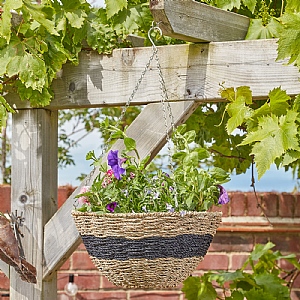 Smart Garden Kent Faux Rattan Hanging Basket (14")