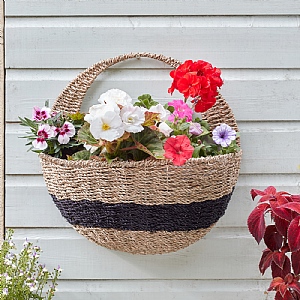 Smart Garden Kent Faux Rattan Wall Basket (16")