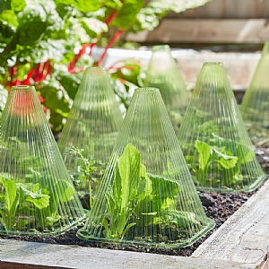 Smart Garden GloCloche (Pack of 10)