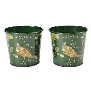 Burgon & Ball RHS Woodland Wonder 2 Herb Pots