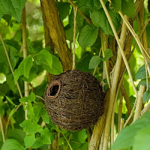 CJ Wildlife Machico Lounge Roosting Nest (32mm) - Round