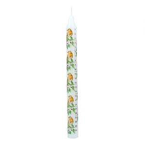 Gisela Graham Robin and Holly Advent Taper Candle (23cm)
