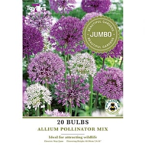 Allium Pollinator Mix Jumbo Pack (20 Bulbs)