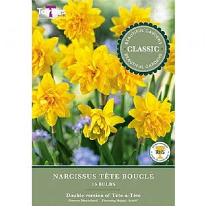 Narcissus 'Tete Boucle' (15 Bulbs)