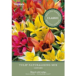 Tulip Naturalising Mix (18 Bulbs)