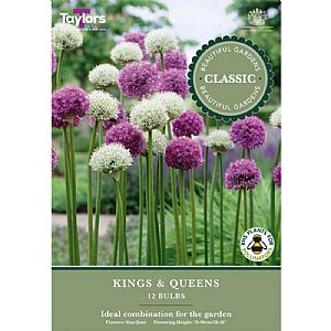 Allium Kings & Queens Bulb Collection (12 Bulbs)