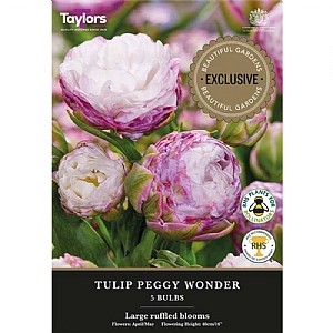 Tulip 'Peggy Wonder' (5 Bulbs)