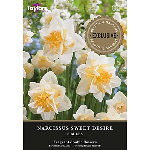 Narcissus 'Sweet Desire' (6 Bulbs)