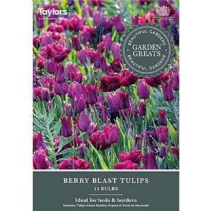 Tulip Berry Blast Collection (15 Bulbs)