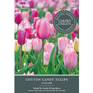 Tulip Cotton Candy Collection (20 Bulbs)
