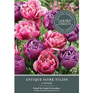 Tulip Antique Fayre Collection (15 Bulbs)