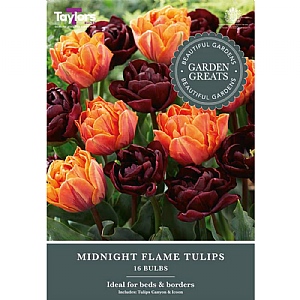 Tulip Midnight Flame Collection (16 Bulbs)