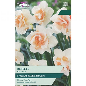 Narcissus 'Replete' (5 Bulbs)