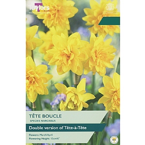 Narcissus 'Tete Boucle' (12 Bulbs)