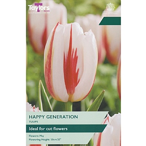 Tulip 'Happy Generation' (7 Bulbs)