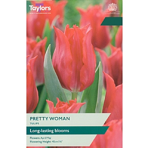 Tulip 'Pretty Woman' (6 Bulbs)
