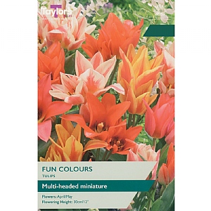 Tulip 'Fun Colours' (9 Bulbs)