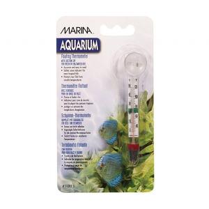 Marina Glass Floating Thermometer (with sucker)