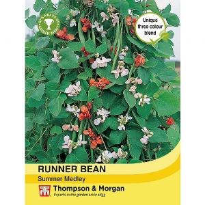 Thompson & Morgan Runner Bean Summer Medley Seeds
