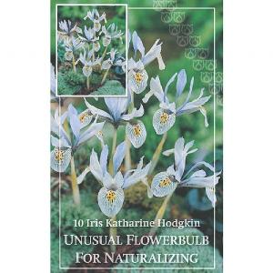 Iris Katharine Hodgkin (10 Bulbs)