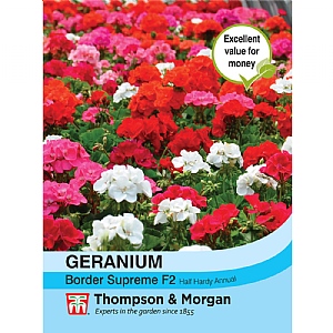 Geranium Border Supreme F2 Hybrid - 18 Seeds