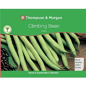 Climbing Bean Cobra