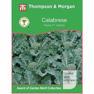 Thompson & Morgan Award of Garden Merit Calabrese Fiesta F1 Hybrid