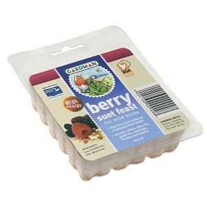 Suet Berry Feast