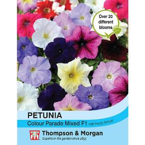 Thompson & Morgan Petunia Colour Parade Mixed F1 Hybrid