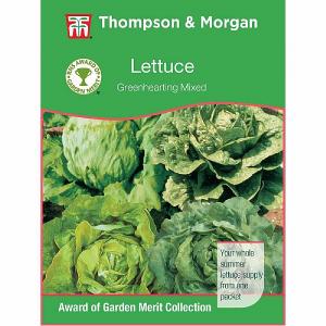 Thompson & Morgan Award of Garden Merit Lettuce Greenhearting Mixed