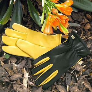 Gold Leaf Gents Dry Touch Gloves