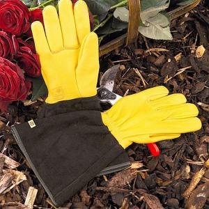 Gold Leaf Ladies Tough Touch Gloves