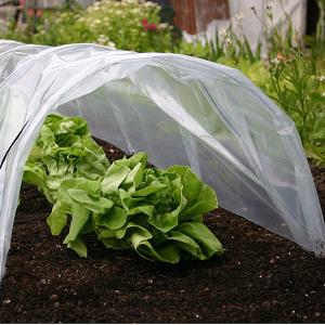Haxnicks Easy Poly Tunnel