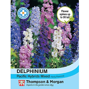 Delphinium Pacific Hybrids Mixed - 110 seeds