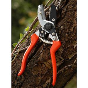 Burgon & Ball RHS Anvil Secateur