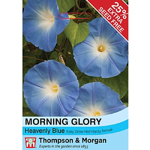Ipomoea (Morning Glory) Heavenly Blue - 50 Seeds