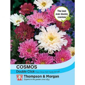 Thompson & Morgan Cosmos Double Click