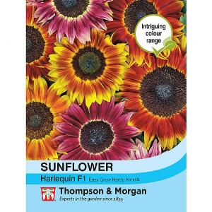 Thompson & Morgan Sunflower Harlequin Mix F1 Hybrid