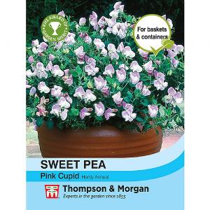 Thompson & Morgan Sweet Pea Pink Cupid